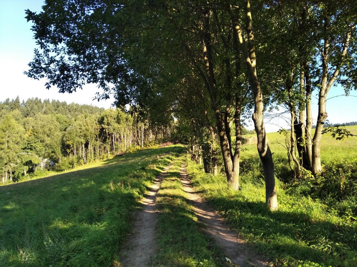 Celorocni Glamping V Pohodlnem Domecku Villa Výprachtice Екстериор снимка